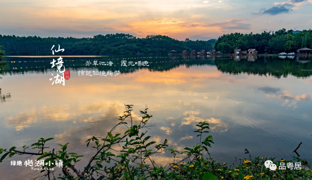 绿地樾湖小镇(图8)
